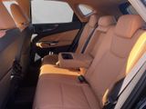 LEXUS NX450H+ Executive Panorama