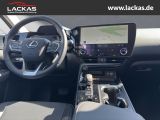 LEXUS NX 350h h 243 PS * Sitzklima Connect - Paket 360