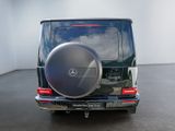 MERCEDES-BENZ G 450 d 360 AHK DISTR KAMERA SPUR STANDH PDC