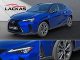 LEXUS UX 300h F Sport HuD+LEDER+MEMORY+SITZKLIMA