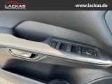 LEXUS RX 450 h +E-FOUR*F-SPORT*DESIGN *TOP*PANO*HUD*36