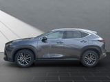 LEXUS NX 350h h 243PS Sitzklima Connect, 360°