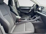 SKODA Karoq Klima Navi Rückfahrkamera Sitzheizung