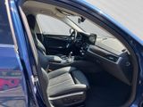 BMW 530 e Luxury Line PDC Temp SHZ DAB Klima