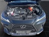 LEXUS NX 450h Executive Panorama