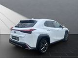 LEXUS UX 250h*FSPORT-D.*1.HD*ALLW.REIF** 15J-GARANTIE*