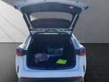LEXUS NX 450h + Executive Line NX 450h+ Executive Line