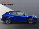 LEXUS UX 300h F-Sport E FOUR Schiebedach+360°+LEDER