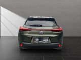 LEXUS UX 250H*1HAND*TOTW*SCHECKHEFT*