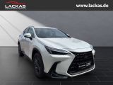 LEXUS NX 350 h 243 PS Executive *15-J ahre Garantie* I