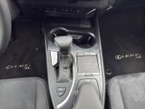 LEXUS UX 250h *lenkH*sitzH*Kamera*