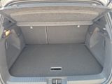 RENAULT Captur II Techno GLAS-SCHIEBEDACH SHZ LHZ