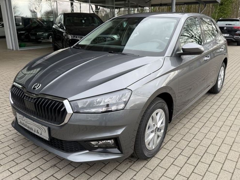 SKODA Fabia Selection Kamera/WinterPak/Klimaauto/GV5