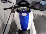 BMW G 310 GS 