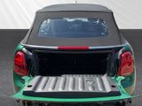 MINI Cooper Cabrio LED Navi PDC SHZ Klima Leder