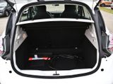 RENAULT ZOE Experience 52KW INKL. BATT +PDC+RFK+LHZ+BT+