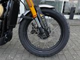 TRIUMPH Scrambler 900 MY26 Sofort Verfügbar!