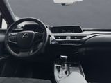 LEXUS UX 250h*STYLE*1HD*VELOURS* 15J-GARANTIE*
