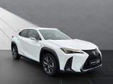 LEXUS UX 250h*F-SPORT-D.*1.HD*ALLW.REIF** 15J-GARANTIE