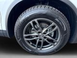 RENAULT Koleos Initiale Paris 1.3 TCe 160 +Schiebedach+