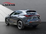 LEXUS NX 450h + F Sport NX 450h+ F Sport