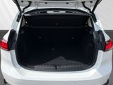 BMW 216 Active Tourer i Park-Assistent AHK SHZ DAB
