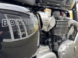 TRIUMPH Bonneville T120 MY25 inkl 1.000? Kundenvorteil
