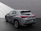 LEXUS UX 250 h*STYLE*CARPLAY*PDC*15 JAHRE GARANTIE
