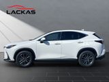 LEXUS NX 450h Executive Panorama