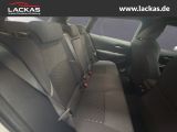 TOYOTA Corolla TS Hybrid Business Edi tion 1.8 *Kamera*