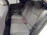 TOYOTA C-HR Hybrid FWD Teamplayer*TECHNIK*TOTW*CARPLAY*