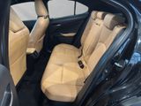 LEXUS UX 250 h F-Sport Design Allwetter