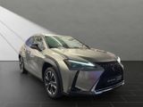 LEXUS UX 250h*STYLE*1HAND*CARPLAY*MwSt*
