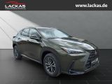 LEXUS NX 350 h 243 PS Executive Inter ieur Paket + Tec