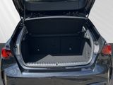 BMW 120 i 5-Türer Navi Driv Assis PDC DAB LED