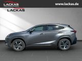 LEXUS NX 300 h Luxury 4x4 Panorama