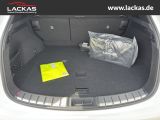 LEXUS NX 350h Executive interieur Paket + Technologie 