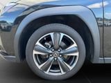 LEXUS UX 250h STYLE EDITION 1HD+CARPLAY+NAVI+PDC+LED