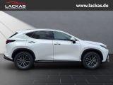 LEXUS NX 350h h 243 PS *Executive* 15 Jahre Garantie *
