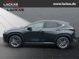 LEXUS NX 350h h 243 PS ** 15 Jahre Gar antie ** Connec