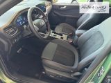 FORD Kuga Plug-In Hybrid ST-Line X Navi Leder Digitales Cockpit Soundsystem B & O 360 Kamera