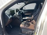 BMW iX2 xDrive 30 M Sport AHK ACC HUD H&K AD. LED