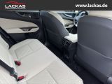LEXUS NX 350h h 243 PS Executive Inter ieur+Technologi
