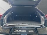 LEXUS UX UX Crossover Style Edition 250h Frontantrieb