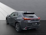 LEXUS UX 250 h F SPORT