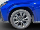 LEXUS UX 300h F Sport HuD+LEDER+MEMORY+SITZKLIMA