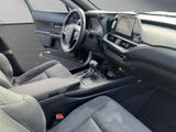 LEXUS UX 250 h*LED*TOP* KAMERA*NAVI*FACELIFT