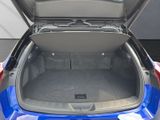 LEXUS UX 300h F-Sport E FOUR Schiebedach+360°+LEDER