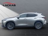 LEXUS NX 450h + Business 4x4+SITZBELÜF.+SHZ hinten+360