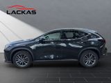 LEXUS NX 450h +Executive Line E4 Interieur+Technologie